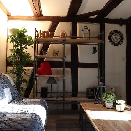 Appartement Sous les toits du Zinc - Climatisé à Colmar Extérieur photo