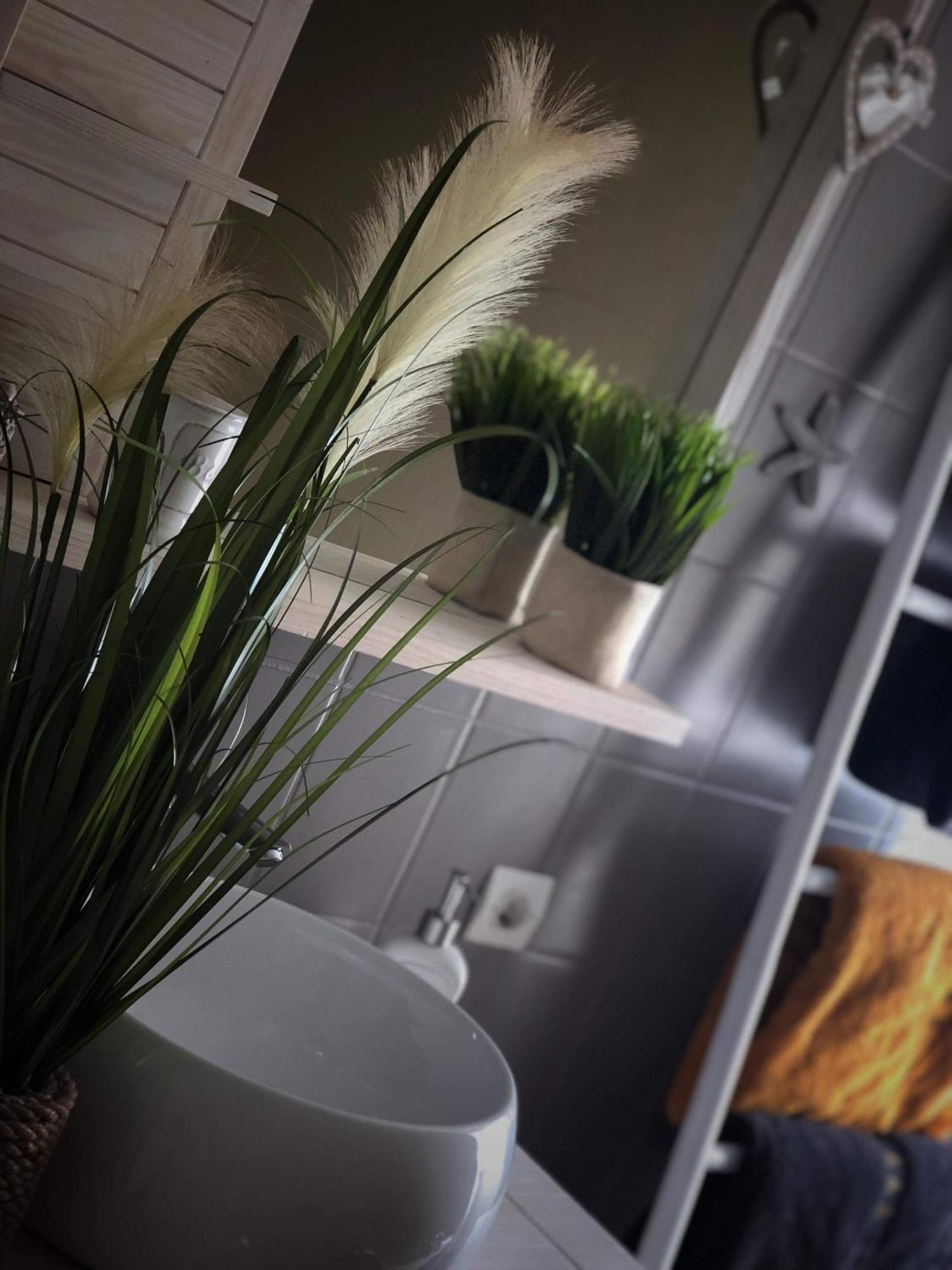 Appartement Sous les toits du Zinc - Climatisé à Colmar Extérieur photo