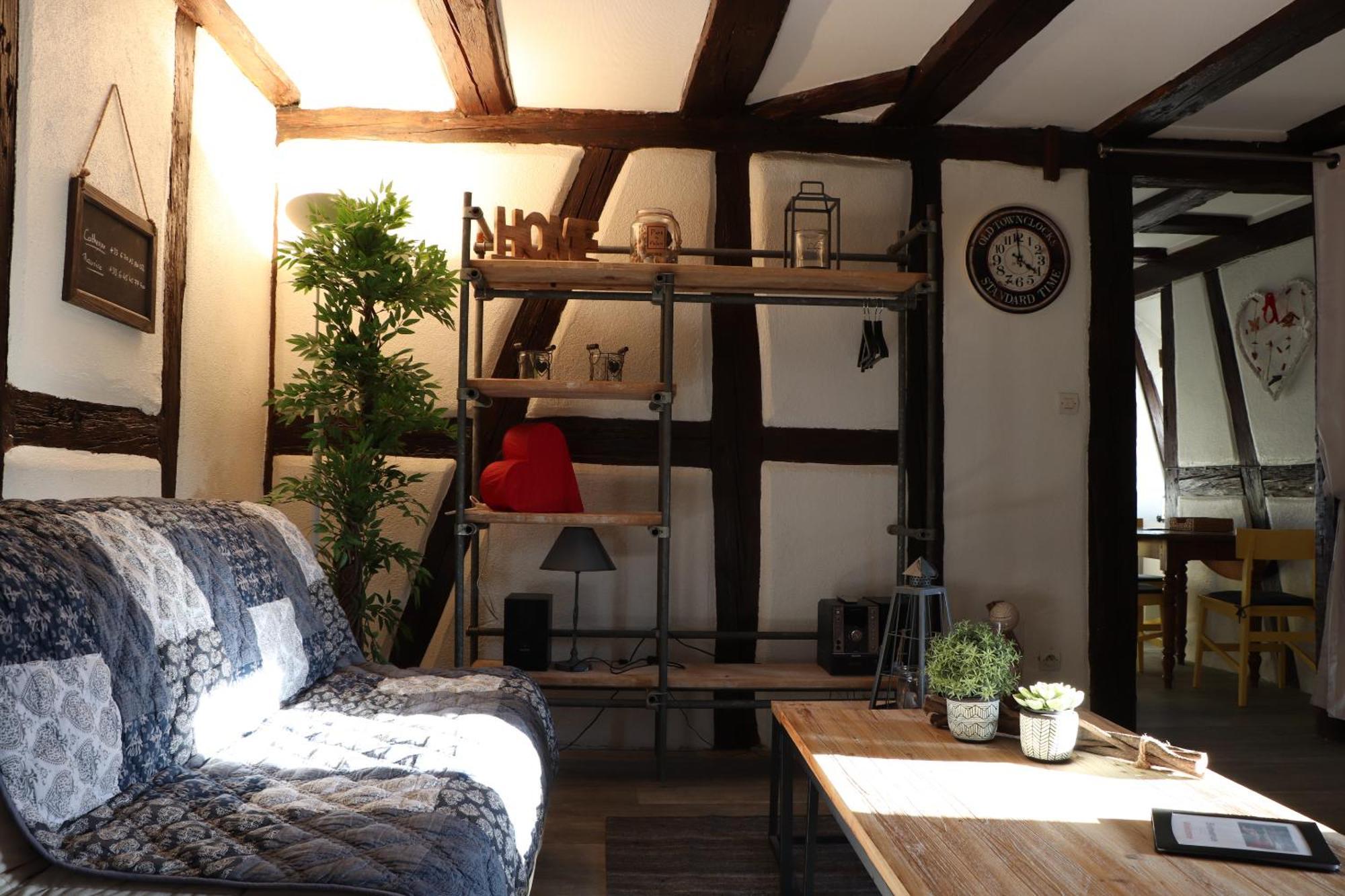 Appartement Sous les toits du Zinc - Climatisé à Colmar Extérieur photo
