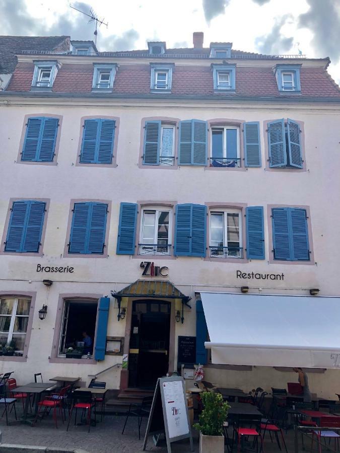 Appartement Sous les toits du Zinc - Climatisé à Colmar Extérieur photo